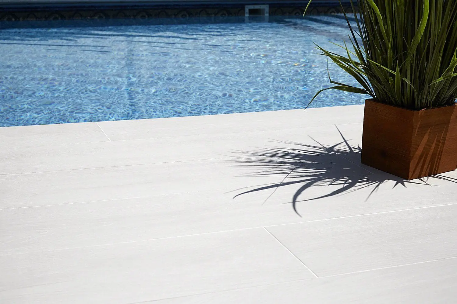 A serene poolside scene with blue water rippling under sunlight. A wooden planter box near the edge of the pool houses a tall green plant, casting a distinct shadow on the decorative concrete ground laid by skilled concrete contractors in Hialeah, FL.